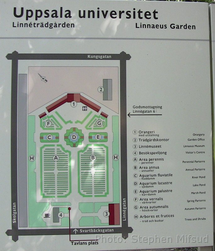 Bennas2010-0275.jpg - Map of the Linnaeus Garden where Carl von Linnae used to study in the 18th century.